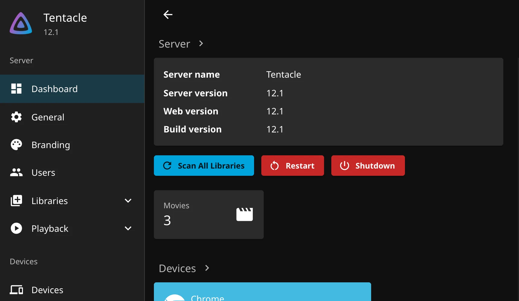 Jellyfin dashboard with the Scan All Libraries button